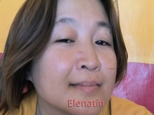 Elenatin