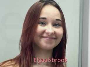 Elgaalsbrook