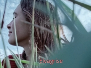 Elvagrise