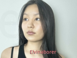 Elvinaborer