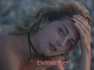 Elvinaesser