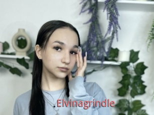 Elvinagrindle