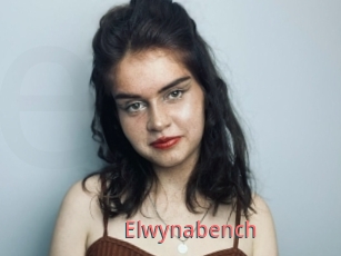 Elwynabench