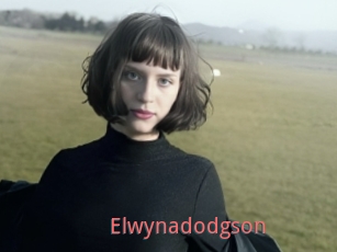 Elwynadodgson