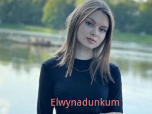 Elwynadunkum