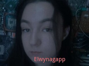 Elwynagapp