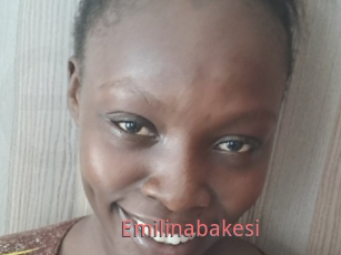 Emilinabakesi