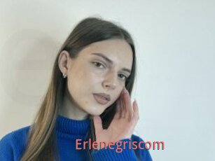 Erlenegriscom