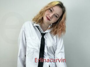 Erlinacurvin