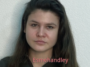 Esmehandley