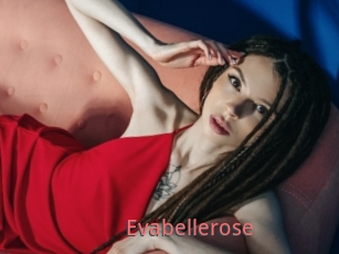 Evabellerose