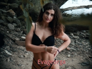 Evageorga