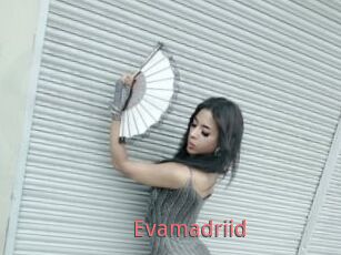 Evamadriid