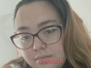 Eviedash