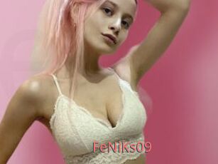 FeNiKs09