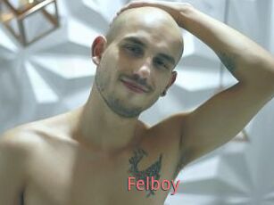 Felboy