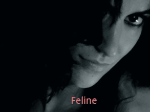 Feline