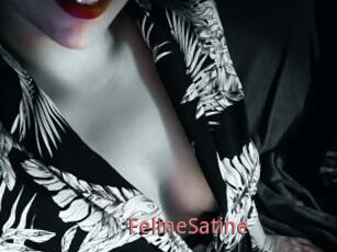 FelineSatine