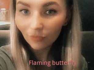 Flaming_butterfly