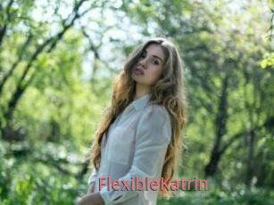 FlexibleKatrin