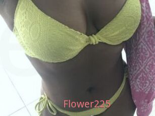 Flower225