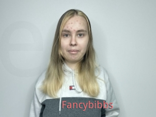Fancybibbs
