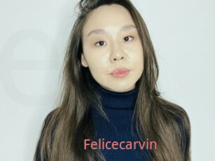 Felicecarvin
