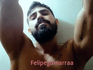 Felipegamarraa