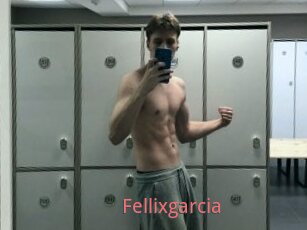 Fellixgarcia