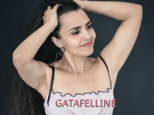 GATAFELLINE
