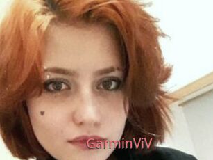 GarminViV