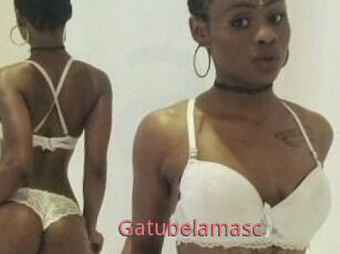 Gatubela_masc