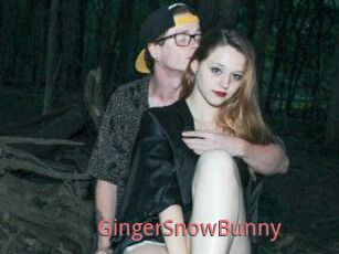 GingerSnowBunny