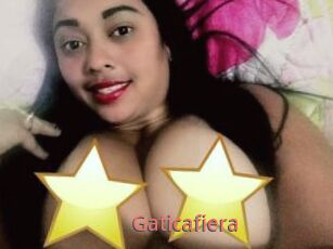 Gaticafiera