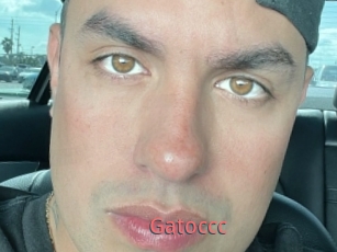 Gatoccc