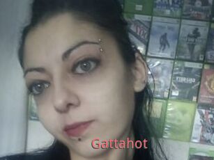 Gattahot