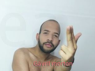 Gavril_morton
