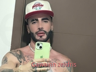 Gawainn_zeldris