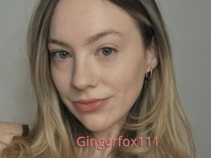 Gingerfox111