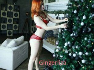 Gingerliza