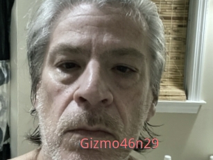 Gizmo46n29
