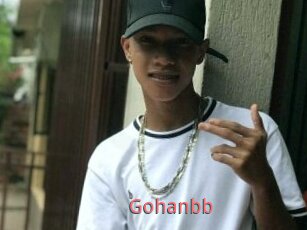 Gohanbb