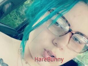 HareBunny