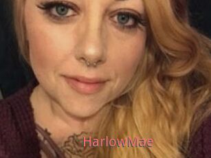 Harlow_Mae