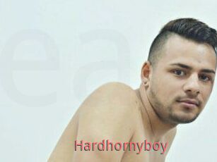 Hardhornyboy