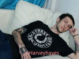 Harveyhayes