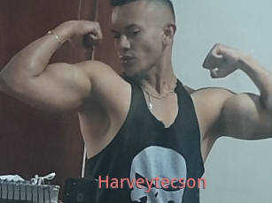 Harveytecson