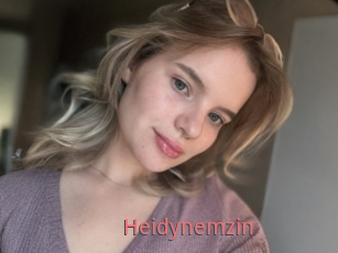 Heidynemzin