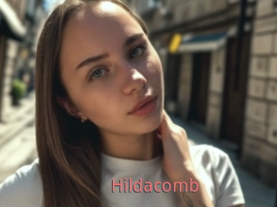 Hildacomb