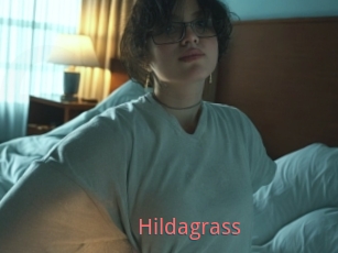 Hildagrass